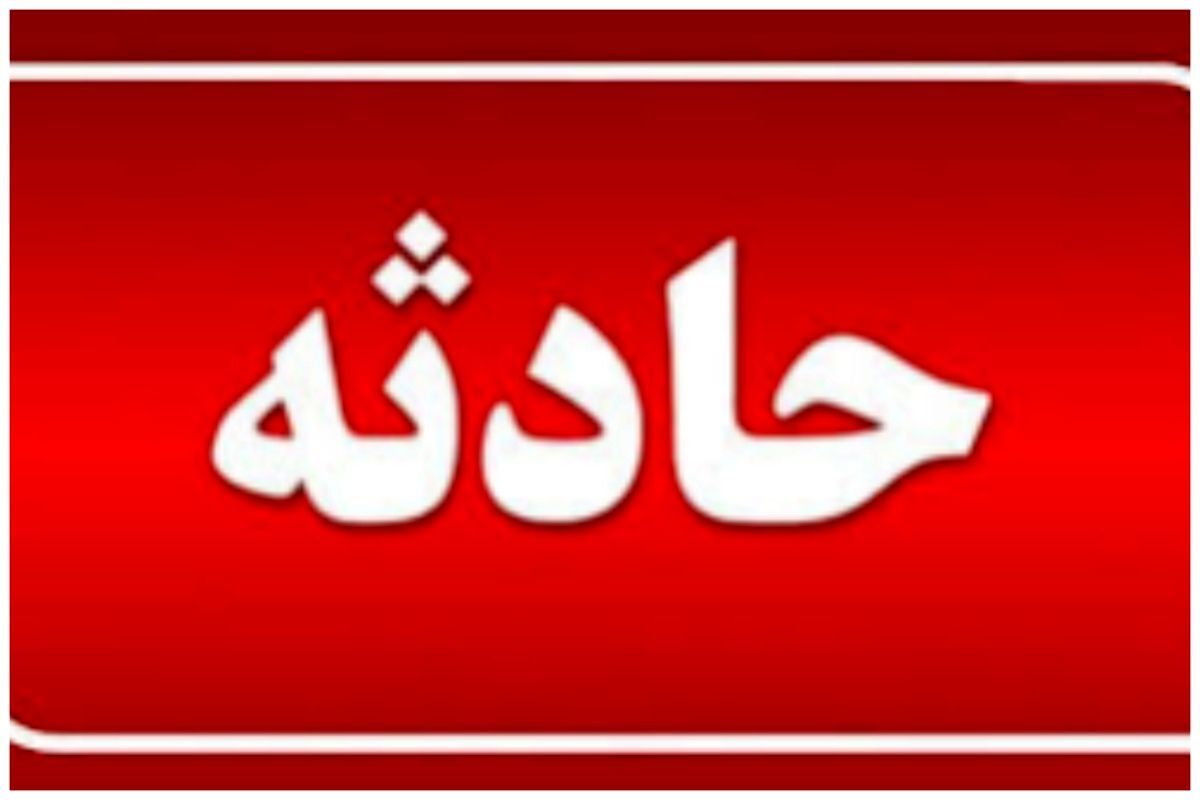 تصادفی عجیب در تهران/ یک قلاده سگ، عامل تصادف مرگبار و فوت عابر پیاده شد