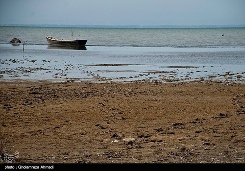 عکس‌هایی از خشکی ساحل دریا در گلوگاه