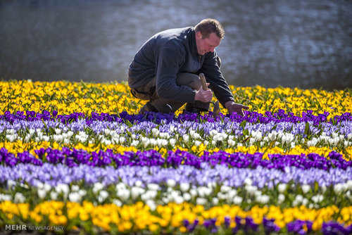جالب‌ترین تصاویر بهار در مناطق مختلف جهان‎/عکس