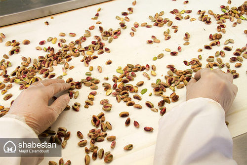 «گز» سوغات اصفهان (عکس)