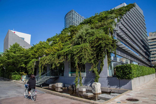 باغ‌های پشت بامی در فضای مدرن شهری+تصاویر