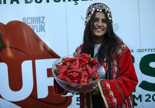 برگزاری مسابقه خوردن فلفل تند در اورفای ترکیه+عکس