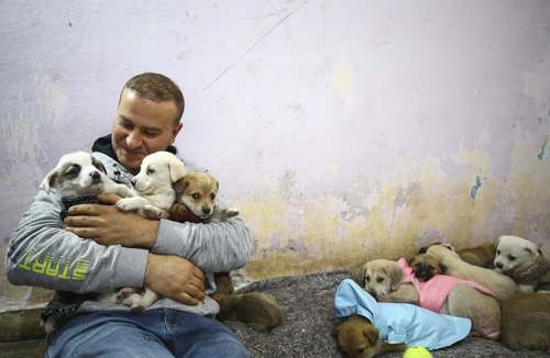 یک گرمخانه سگ‌های بی‌صاحب در شهر آنکارا ترکیه/ خبرگزاری آناتولی