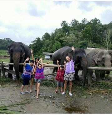 زندگی مشترک خانواده ای با فیل ها + تصاویر
