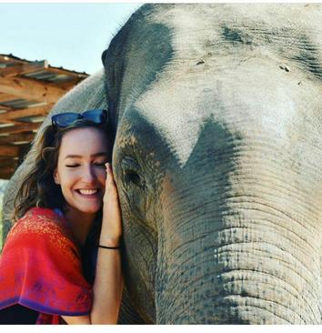زندگی مشترک خانواده ای با فیل ها + تصاویر