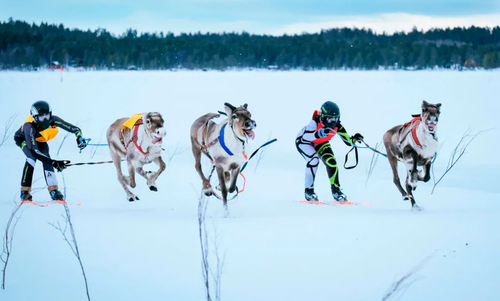 مسابقه روی دریاچه‌ای یخزده در فنلاند/ خبرگزاری فرانسه