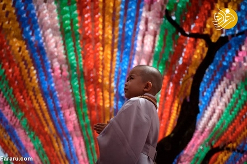 مراسم آماده سازی کودکان برای راهب شدن+تصاویر