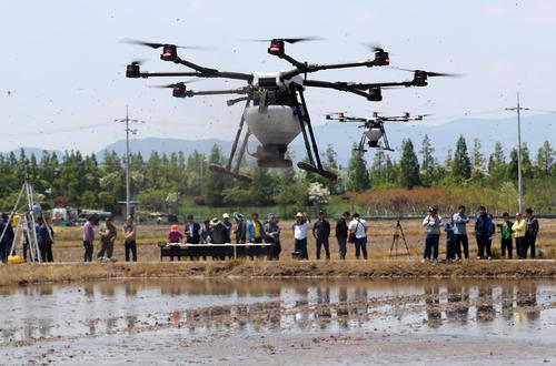 رونمایی از فناوری نشاء برنج با استفاده از پهپاد در یک شالیزار در شهر بندری بوسان کره جنوبی/ یونهاپ