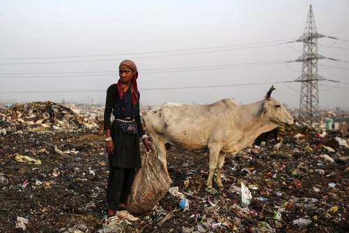 جمع‌آوری زباله‌های قابل بازیافت از یک زباله‌دانی در شهر دهلی هند / رویترز