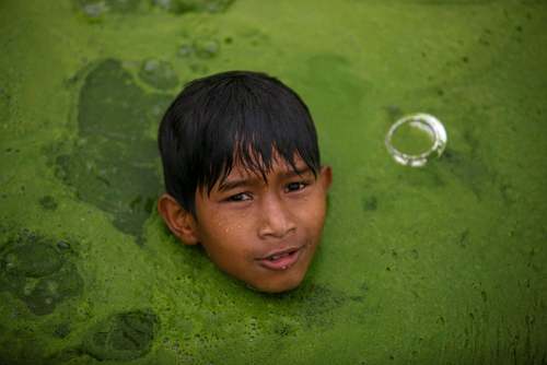 شنا در استخر جلبکی در شهر باختاپور نپال/ رویترز