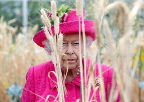 بازدید ملکه بریتانیا از موسسه ملی گیاه‌شناسی بریتانیا در کمبریج/ گتی ایمجز