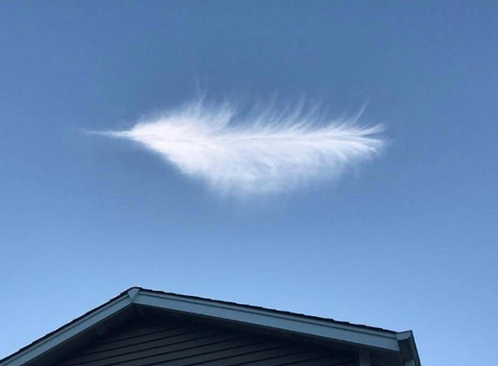 خبری از قو‌های غول‌پیکر نیست، این فقط یک ابر معمولی است!