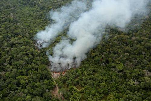 آتش سوزی جنگل‌های آمازون در برزیل/ رویترز
