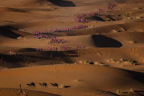 مسابقات بین‌المللی صحرانوردی زنان در صحرای جنوبی مراکش/ خبرگزاری فرانسه