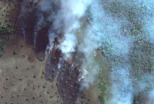 منظره آتش سوزی جنگل آمازون دلسردکننده است.
