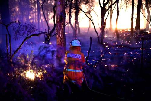 تلاش برای مهار آتش سوزی جنگلی در استرالیا/ خبرگزاری فرانسه