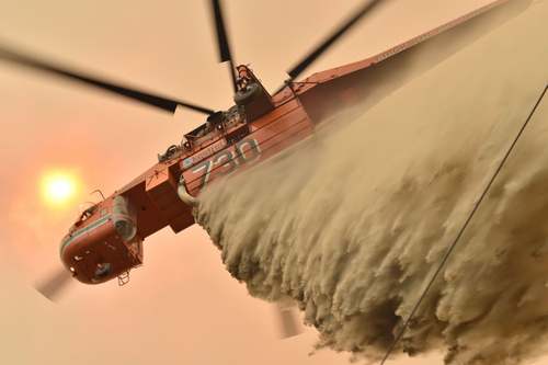 خاموش کردن آتش سوزی جنگلی در استرالیا/ خبرگزاری فرانسه