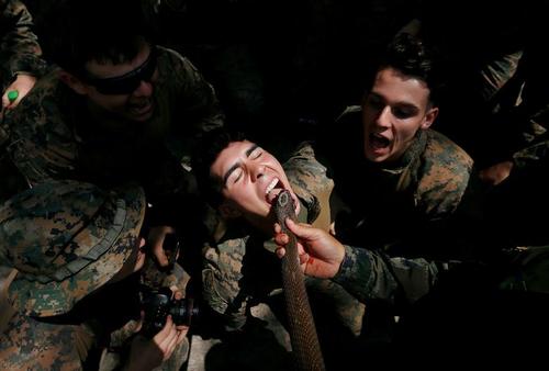 سربازان در حال خوردن خون مار کبرا در جریان رزمایش مشترک آمریکا و تایلند در 