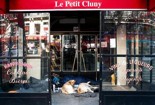 یک مرد بی‌خانمان فرانسوی با سگ‌هایش در مقابل یک رستوران تعطیل در شهر پاریس خوابیده است./ رویترز
