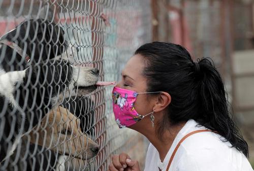 یک مرکز نگهداری حیوانات در مکزیک/ رویترز