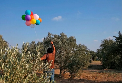 مرد فلسطینی در حال ارسال بالنهای انفجاری به سمت مرز اسراییل / نوار غزه/ خبرگزاری فرانسه