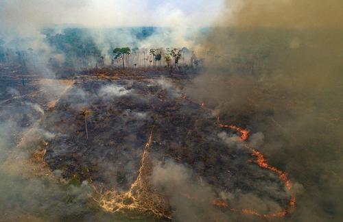 آتش سوزی در جنگل های برزیل
