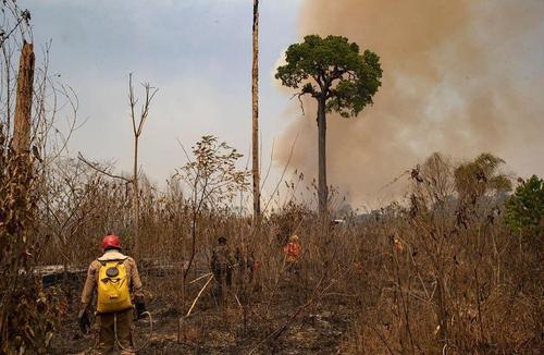 آتش سوزی جنگل های برزیل