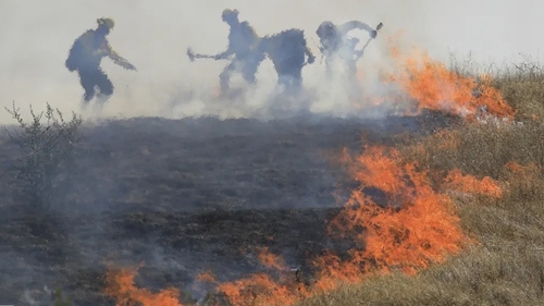 خاموش کردن آتش‌سوزی جنگلی در ایالت کالیفرنیا آمریکا/ آسوشیتدپرس