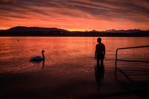 غروب آفتاب در دریاچه ژنو سوییس/ خبرگزاری فرانسه