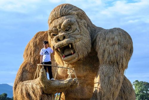 نمایشگاه مجسمه‌های بزرگ ساخته شده از کاه برنج در تایلند/ خبرگزاری فرانسه