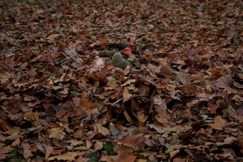 بازی یک پسربچه با برگ‌های پاییزی در پارکی در شرق لندن/ رویترز
