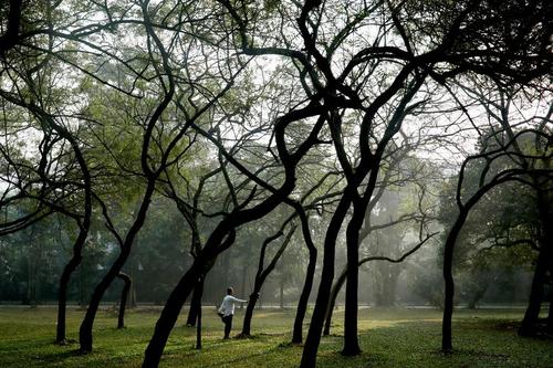 ورزش صبحگاهی در پارکی جنگلی در شهر داکا بنگلادش/ رویترز