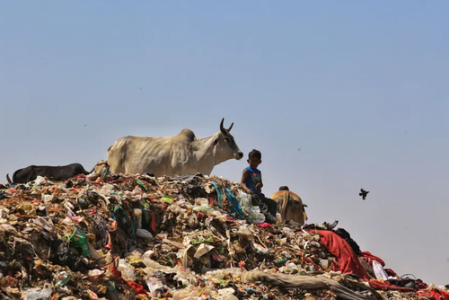 کوه زباله در جیپور هند/ نورفوتو