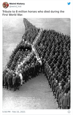 ادای احترام به 8 میلیون اسبی که جان خود را در جنگ جهانی اول از دست دادند. 