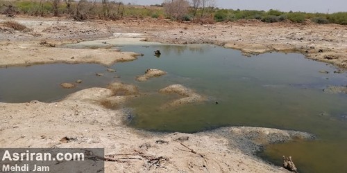 resized 1232139 678 ادامه نگرانی از بی آبی در هورالعظیم (عکس و فیلم)