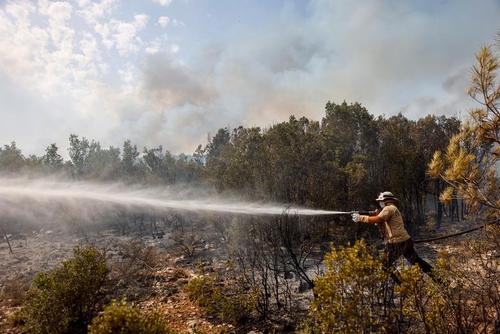 آتش سوزی های جنگلی در ترکیه/ رویترز و خبرگزاری فرانسه