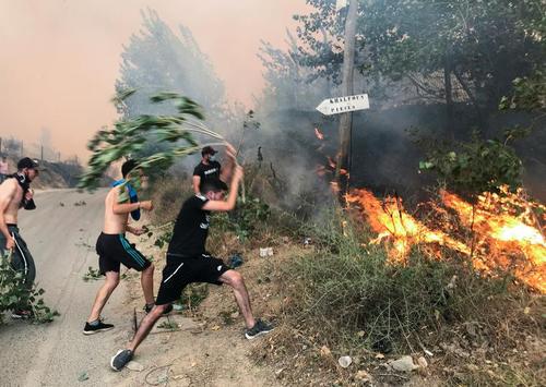 تلاش مردمی برای خاموش کردن آتش سوزی های جنگلی در الجزایر/ رویترز