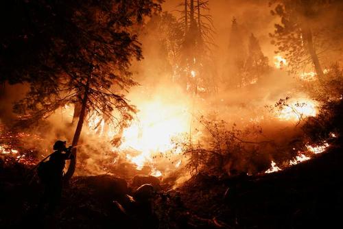 آتش سوزی جنگل های ایالت کالیفرنیا آمریکا/ رویترز و خبرگزاری فرانسه