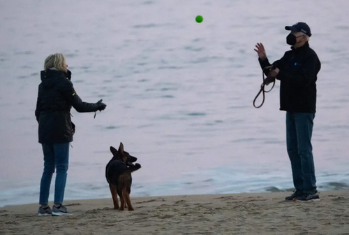 رییس جمهوری و بانوی اول آمریکا در حال بازی با سگ شان در ساحلی در ایالت 