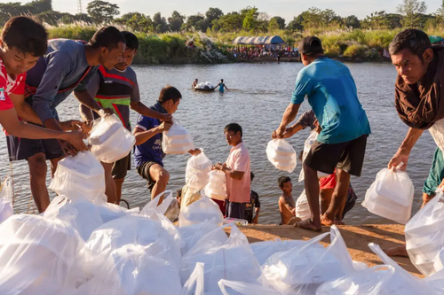 توزیع غذا در بین پناهجویان میانماری در حاشیه رود 