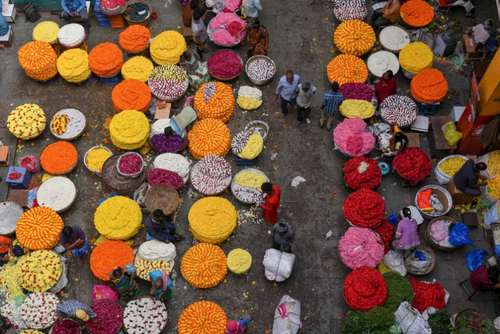 بازار گل در بنگلور هند/ خبرگزاری فرانسه