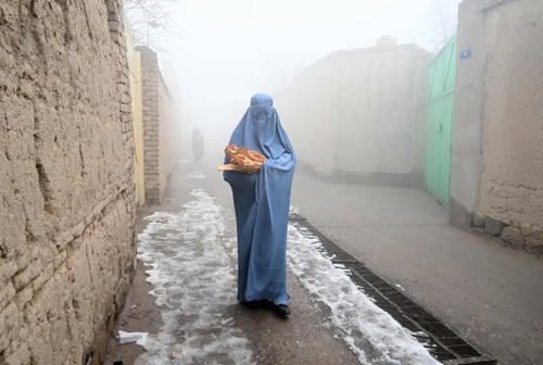 توزیع نان رایگان در شهر کابل افغانستان از سوی نهادهای حمایتی بین المللی/ خبرگزاری فرانسه