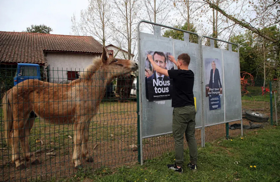 چسباندن پوسترهای دو نامزد رقیب مرحله دوم انتخابات ریاست جمهوری فرانسه/ آسوشیتدپرس