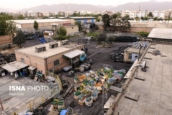 کارخانه تایر سازی (عکس) 17
