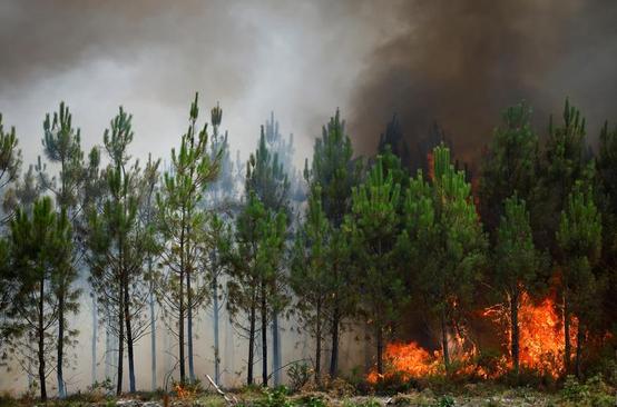 دیدنی های امروز؛ از جنگ اوکراین تا آتش سوزی های جنگلی اروپا 3