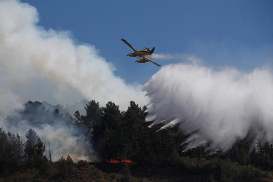 دیدنی های امروز؛ از جنگ اوکراین تا آتش سوزی های جنگلی اروپا 6