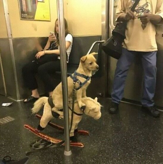 مسافران عجیب مترو در خارج!