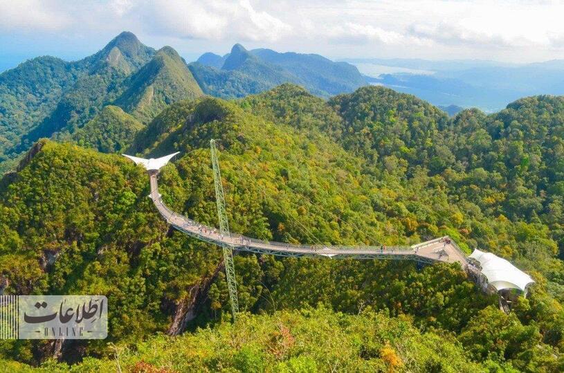 متفاوت‌ترین پل عابر جهان بر فراز جنگل بارانی