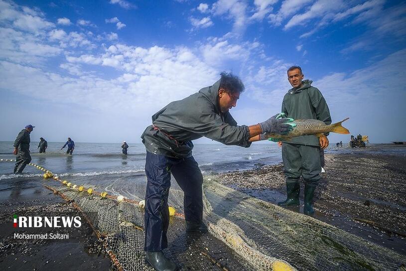 آخرین روز صید ماهی در دریای خزر 