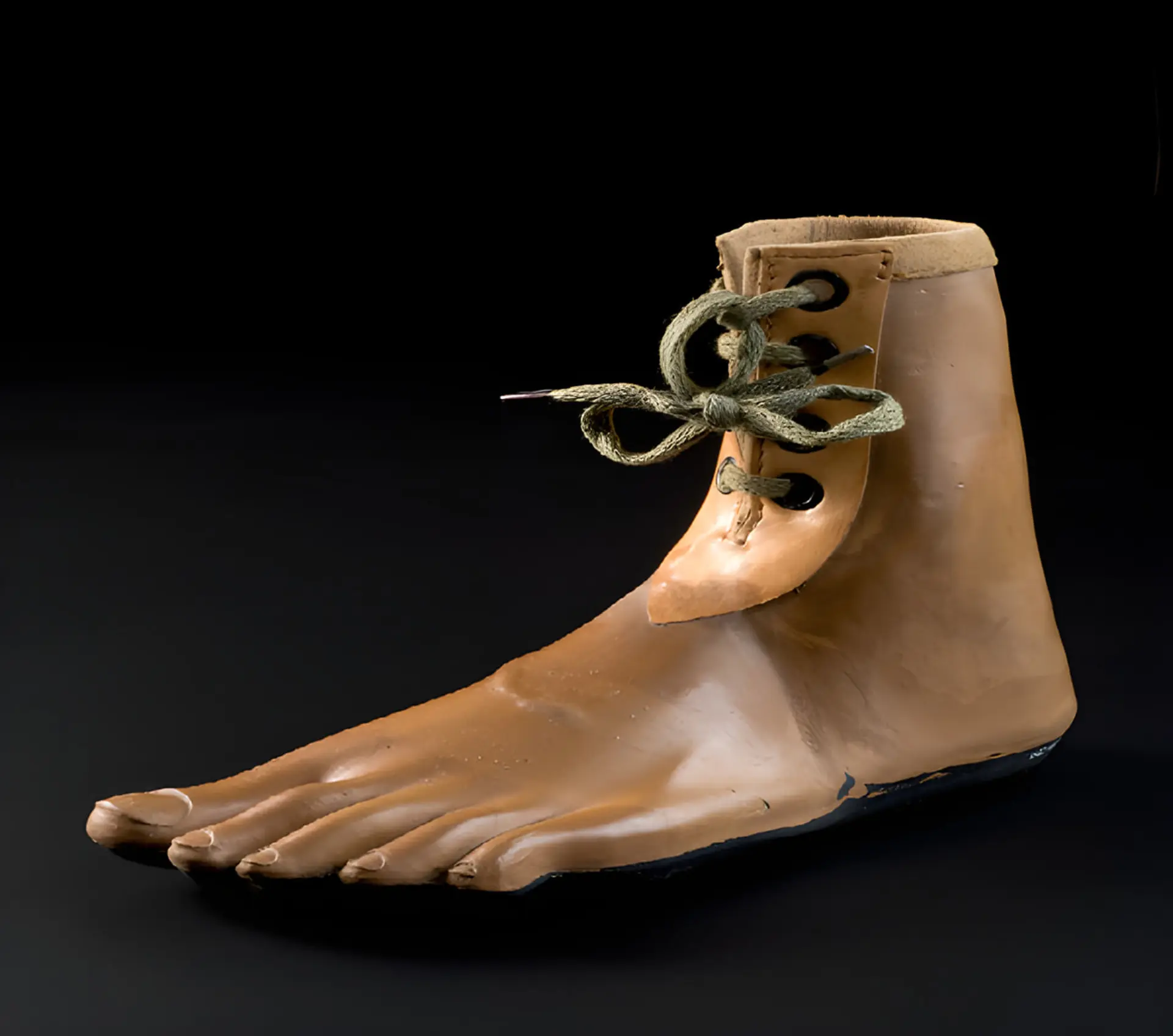نمونه‌ای از پای جیپور، موزه‌ی علوم لندنScience Museum Group